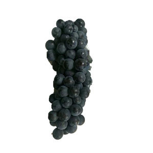 Plateau du Yunnan été <span class=keywords><strong>raisin</strong></span> <span class=keywords><strong>noir</strong></span> haut <span class=keywords><strong>de</strong></span> gamme fruits frais bouquet entier goût doux conservation <span class=keywords><strong>de</strong></span> l'eau emballage en vrac - Product Image 5