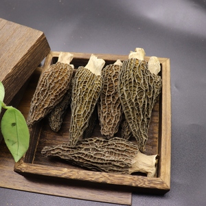 Nấm <span class=keywords><strong>Morel</strong></span> Hoang Dã Trồng Tự Nhiên Nấm <span class=keywords><strong>Morel</strong></span> Khô Giá Bán Buôn - Product Image 2