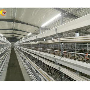 Cages d'élevage de poulets de chair automatiques à 4 niveaux de type H à vendre aux Philippines