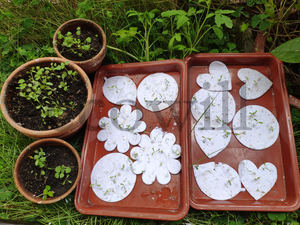 Ecowill 100% Handmade Botanical <strong>Plantable</strong> Wildflower Custom Seed <strong>Paper</strong> Thank You Card - Product Image 6