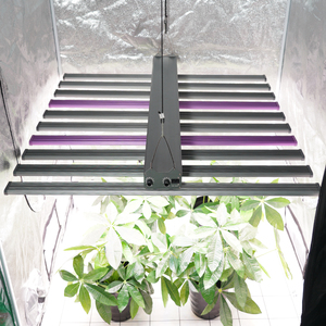 Barre de culture LED 1000W à spectre complet, dimmable, avec fonction Daisy Chain, pour horticulture commerciale en serre (tomates, poivrons, fraises) - Product Image 4