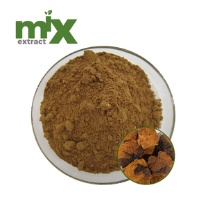 Extracto de Hongo Chaga en Polvo 4:1 10:1 20:1 30:1 50:1 100:1, Extracto de Inonotus Obliquus, Extracto Herbal Natural, Proveedor OEM a Granel - Product Image 1