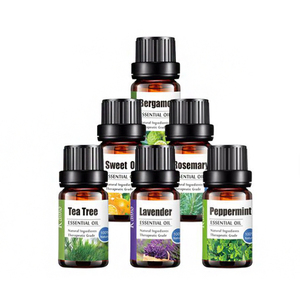 Tùy Chỉnh Nhà Máy Cung Cấp Hương Liệu Tinh Dầu Cao Cấp Chiết Xuất Thực Vật Cho Căng Thẳng Cứu Trợ Nhà Hương Thơm Da Bạch Đàn - Product Image 4