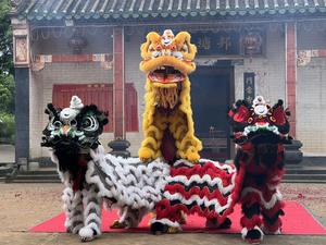 Disfraz de Danza del León XIANG YU, Hecho a Mano en China, Tamaño Normal, <span class=keywords><strong>para</strong></span> <span class=keywords><strong>Dos</strong></span> <span class=keywords><strong>Personas</strong></span> - Product Image 1