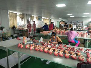 PVC mô hình xương <span class=keywords><strong>ethmoid</strong></span> cho khoa học y tế giảng dạy Chất lượng cao y tế <span class=keywords><strong>ethmoid</strong></span> xương - Product Image 4