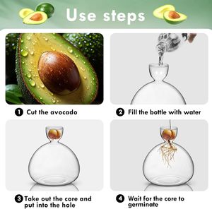 Jarrón grande y moderno con bombilla de cristal transparente para interiores, <span class=keywords><strong>maceta</strong></span> hidropónica para macetas para amantes de la jardinería, florero de semillas de bellota, <span class=keywords><strong>aguacate</strong></span> - Product Image 4