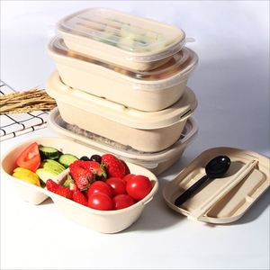 Tazones Desechables para Ensalada de Fibra de Caña de Azúcar con Tapas, Recipientes para Comida para Llevar - Product Image 5