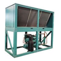 Système de compresseur semi-hermétique automatique écologique, unité de condenseur refroidie par air, réfrigérant R-22/R-404A, refroidissement -35°C +15°C
