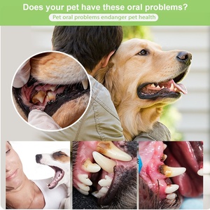 Fábrica al por mayor logotipo personalizado goma gato cepillo de dientes mascota perro dedo cepillo de dientes - Product Image 6