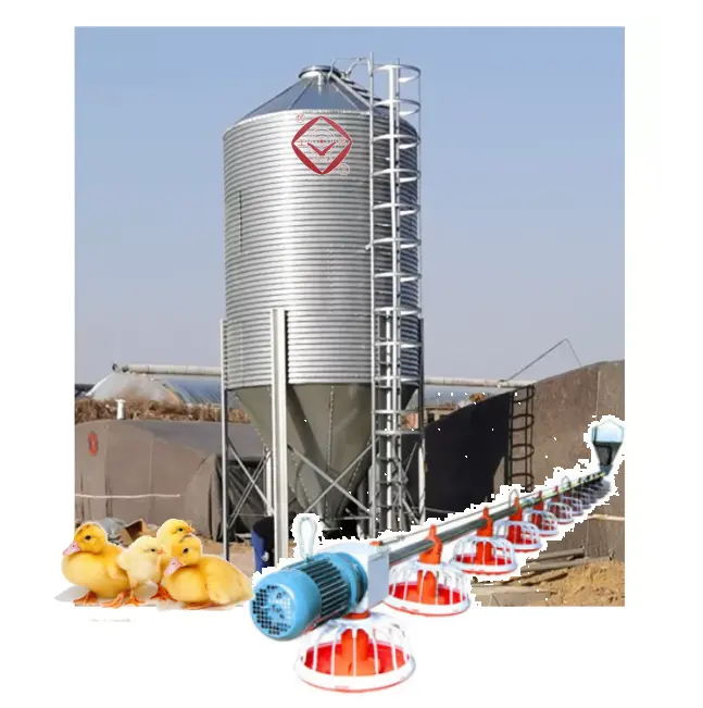 Proveedor de fábrica Silo de 3 ~ 60 toneladas/Silo Almacenamiento de granos/Línea principal de alimentación Silo avícola con equipos de cultivo de piensos y bebidas