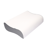 Traversin-oreiller en forme de manga, nouveau Design, coussin en mousse de mémoire, pour hiver et été, soins pour le lit