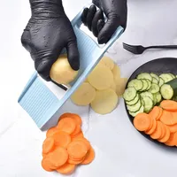 Zenidoo 5-delige mandoline groentesnijder handmatige keukenhulp multi-blad plastic roestvrij staal multifunctioneel