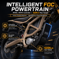 Moto électrique tout-terrain Surron Ultra Bee 24,5 kW 74 V 60 Ah 2026 prête à être expédiée, livraison DDP