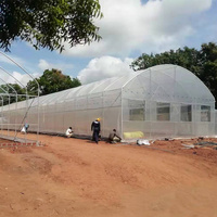 Serre agricole commerciale à tunnel unique en métal 8x30 pour légumes et tomates, à vendre pour ferme