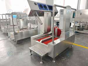 Mini <span class=keywords><strong>Lavadora</strong></span> Inteligente para Limpieza de Suelas y Partes Superiores de Botas, Ideal para Fábricas de Alimentos y Cocinas Centrales - Product Image 3