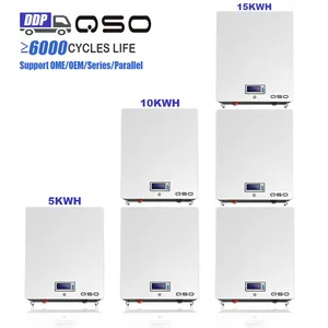 Wholesale Price Wall Mount Lifepo4 51.2V 200Ah 51.2V200Ah 10Kw 12Kw 20Kw 10.24Kwh 10Kwh Solar Home Energy Storage Battery