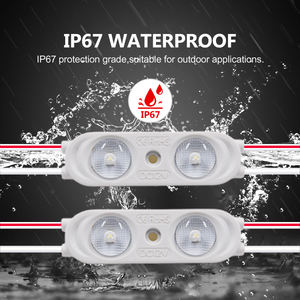 Módulo LED de 2 LED a Prueba de Agua IP67 de 12 V CC para Letreros Luminosos - Product Image 2