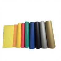 Bande de Résistance pour Débutants pour Exercices d'Étirement, Yoga, Pilates, Thérapie Physique, Renforcement Musculaire, Portable, Adultes, 1,5 m x 15 cm