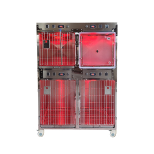 Kandang Oksigen Hewan dari Baja Tahan Karat, Kandang Rawat Inap, Kandang Infus <span class=keywords><strong>ICU</strong></span>, Kandang Perawatan, Kandang Hewan - Product Image 2