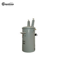 GIANTTREE 25KVA 30KVA 37.5KVA 50KVA 80KVA 167KVA Transformadores de distribución montados en poste inmersos en aceite monofásicos ZHEJIANG