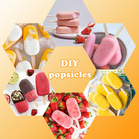 Moldes de silicona reutilizables y coloridos para helados con diseño apilable y tapas individuales, fabricantes de helados para uso familiar