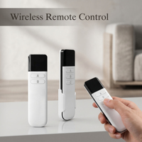 Control Remoto Inalámbrico RF de 433MHz, 2/3 Botones, Blanco Mate/Negro Compacto, Reemplazo para Ventilador, Luz LED, Cortina, Venta al Por Mayor, OEM, Personalizado