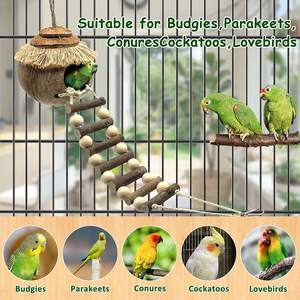 Casa de animales pequeños, jaula para mascotas, decoración de hábitats, Nido de Pájaro de coco, cabaña con escalera para loros, periquito - Product Image 3