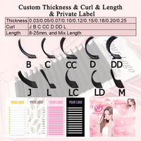 Extensions de Cils en Volume Russe Spéciales Évasées Courbure C D 11 12mm 0.07mm, Plateaux de Cils Individuels en Soie pour Vente en Gros