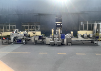 Volledig automatische productielijn voor hoogproductieve commerciële frites en aardappelchips