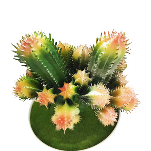 Plantes succulentes artificielles en forme de cactus pour paysages miniatures, plantes du désert pour plantes en pot et fleurs DIY - Product Image 5
