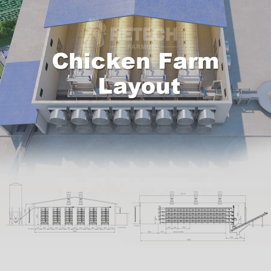 chicken broiler farming machines