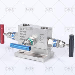 Collecteur à trois vannes en acier inoxydable avec double bride et double rail pour transmetteur de pression différentielle - Product Image 4