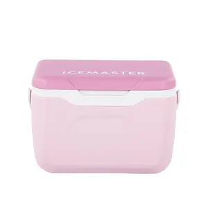 manufacturer High Sale Ice Retention PE Outer handgrip mini Solid Color 5.5L Transport Cooler Box for Cans