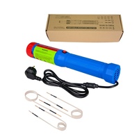 Chauffe-inducteur magnétique 1500W 110V 220V à énergie localisée ciblée avec mallette d'outils portable pour service d'atelier moto