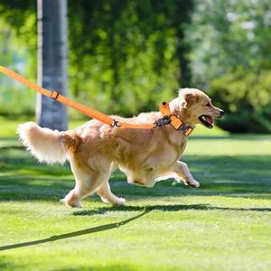 Correa para Perro de Nuevo Diseño, Longitud Ajustable, Liberación Rápida, Hebilla Giratoria Tipo Rana, Correa para Mascotas, Entrenamiento, Paseo - Product Image 6