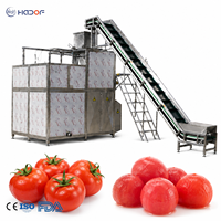 Industriële stoomschilmachine op maat gemaakt van 304 roestvrij staal voor het schillen van aardappelen, wortelen en tomaten
