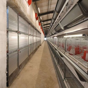 Cages à batterie automatiques de type H pour l'élevage de poussins, bon <span class=keywords><strong>prix</strong></span>, neuves, cages pour poulettes, directement du fabricant - Product Image 2