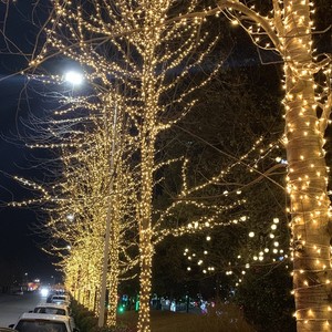 Rideau Lumineux LED Personnalisé Guirlande Extérieure pour Arbre Fête Festival Stalactite Mariage Noël Lumière <span class=keywords><strong>de</strong></span> Décoration pour Événement - Product Image 6