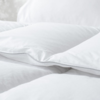 Couette en duvet de plumes de canard et d'oie blanches de qualité hôtelière, fabriquée en Chine, pour toutes les saisons