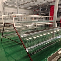 Cage à volailles à plusieurs niveaux de type A avec dispositif de collecte automatique des œufs en acier galvanisé pour grande ferme avicole