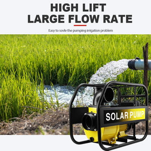 Bomba <span class=keywords><strong>solar</strong></span> <span class=keywords><strong>de</strong></span> 4 pulgadas 196v2200w3hp Bomba <span class=keywords><strong>de</strong></span> riego <span class=keywords><strong>solar</strong></span> <span class=keywords><strong>de</strong></span> CC autocebante <span class=keywords><strong>de</strong></span> tierra <span class=keywords><strong>de</strong></span> alto flujo <span class=keywords><strong>de</strong></span> cabeza alta - Product Image 3