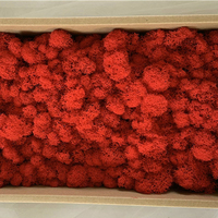 Couronne de mousse stabilisée multicolore, magnifique décoration murale florale pour la maison, les fêtes et Noël, thème artistique, faite à la main, 100% naturelle