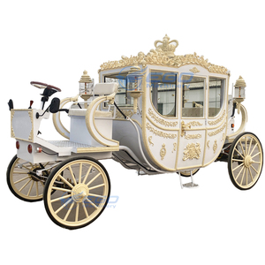 Buggy de luxe anglais personnalisé en usine, couleur sur mesure, en acier recouvert, pour occasions spéciales, à traction équine, à vendre - Product Image 1