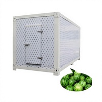 Cámara Frigorífica Solar para Almacenamiento de Pescado, con Compresor Daikin, Control Automático, Ahorro de Energía, Control Remoto