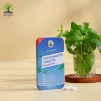 Comprimés de dentifrice à l'hydroxyapatite nano, marque privée, antibactériens, format voyage pour usage domestique