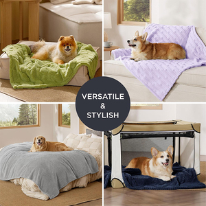 Toalla de baño para perros de alta calidad <span class=keywords><strong>verde</strong></span> personalizada, toalla absorbente de <span class=keywords><strong>agua</strong></span>, <span class=keywords><strong>manta</strong></span> de lana de coral, toalla suave y cómoda para mascotas - Product Image 2