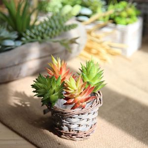 CallaFloral Plantes succulentes artificielles en plastique, fleurs décoratives rouges d'automne, plantes épineuses pour la photographie à domicile, e-commerce transfrontalier - Product Image 1