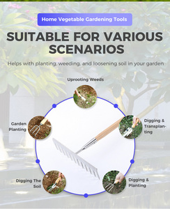 Outils agricoles et <span class=keywords><strong>de</strong></span> jardinage d'extérieur <span class=keywords><strong>de</strong></span> haute qualité en gros avec manches en bois - Râteau à feuilles en acier inoxydable - Product Image 5