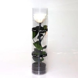 Nouveauté Boîte en PVC Roses Préservées avec Longue Tige Fleurs de roses éternelles simples pour la Saint-Valentin Fête des Mères Mariages de Noël - Product Image 6