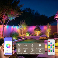 Guirlande lumineuse extérieure à LED à pixels, source de lumière ponctuelle 12V basse tension, étanche IP67, PVC RGB